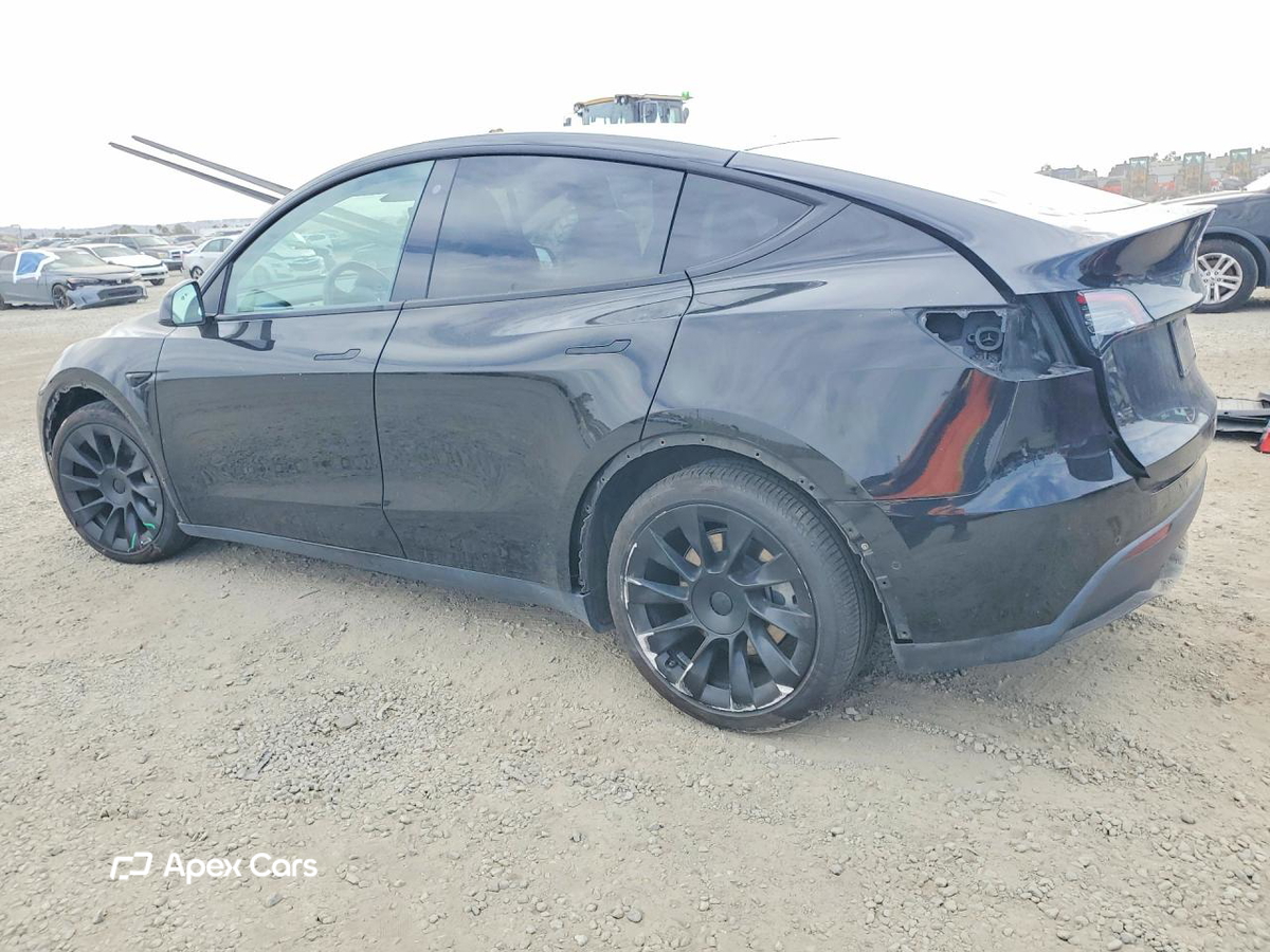 Tesla Model Y 2020