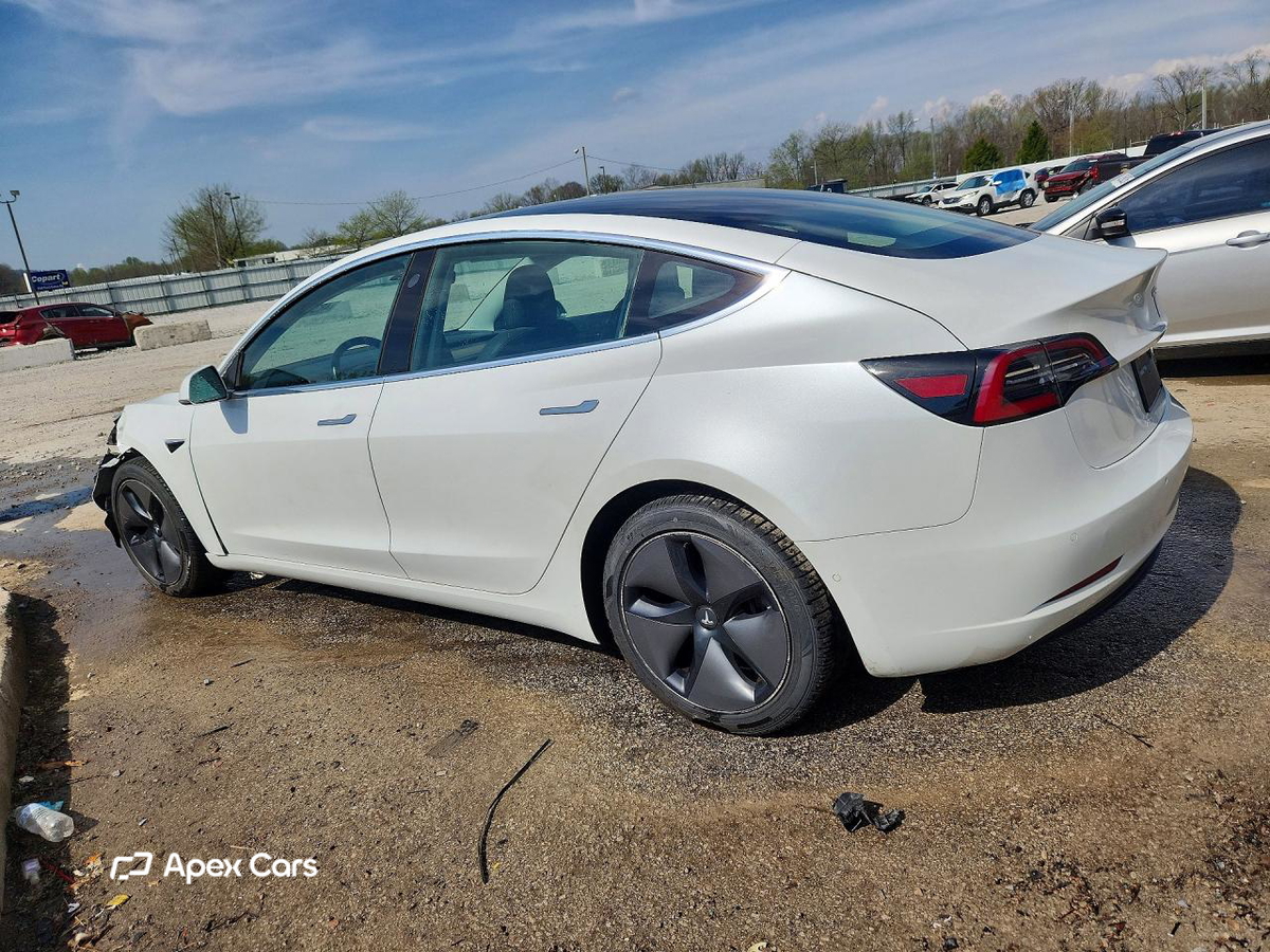 Tesla Model 3 2019