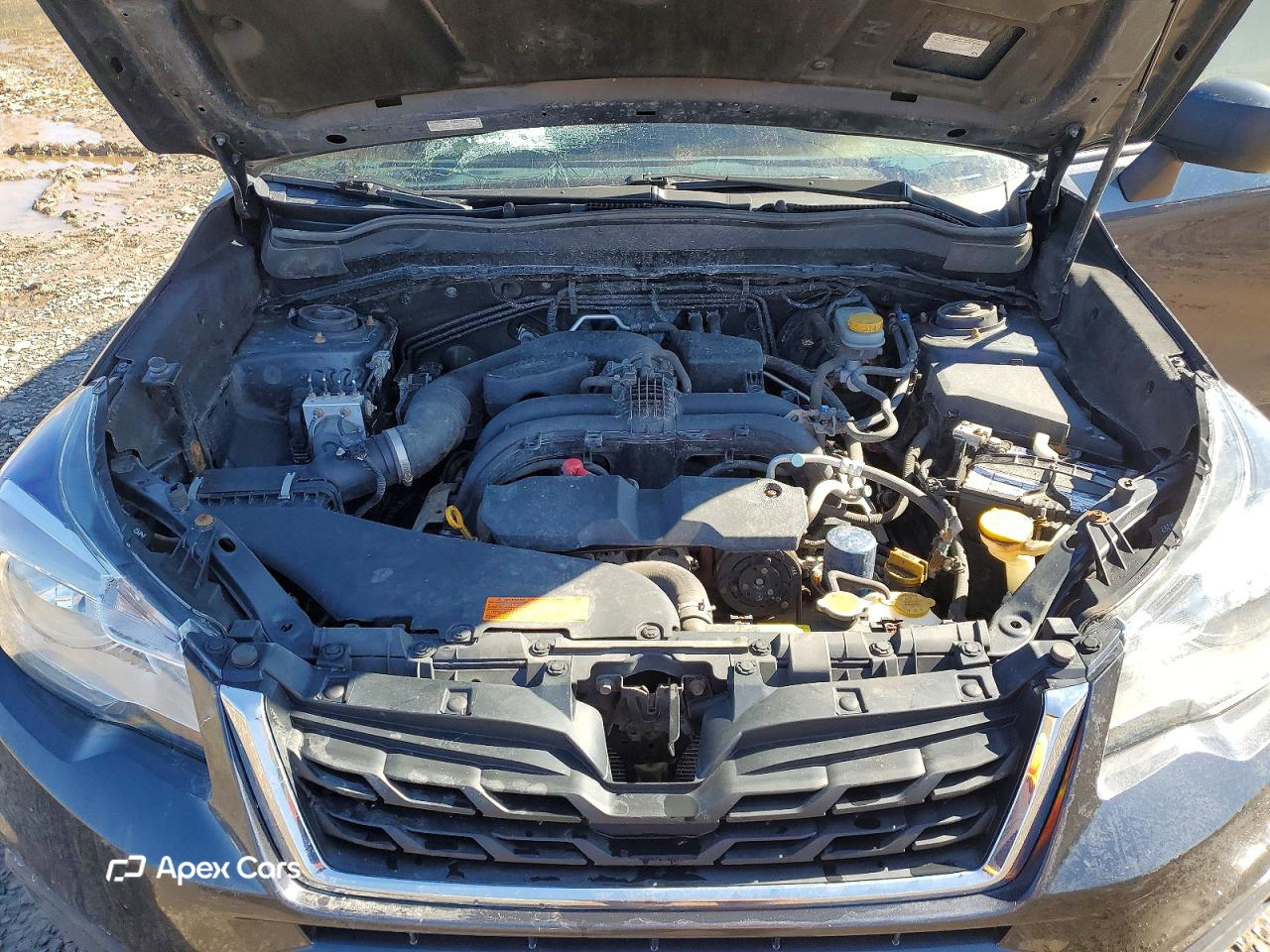 Subaru Forester 2017