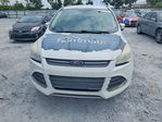 Ford Escape 2016