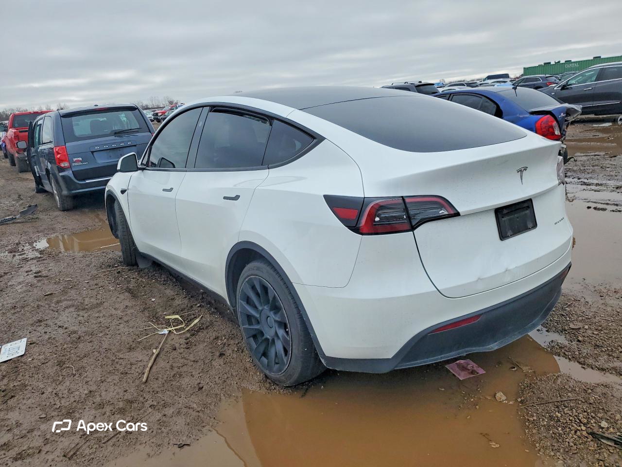 Tesla Model Y 2023