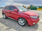 Lexus RX 2010