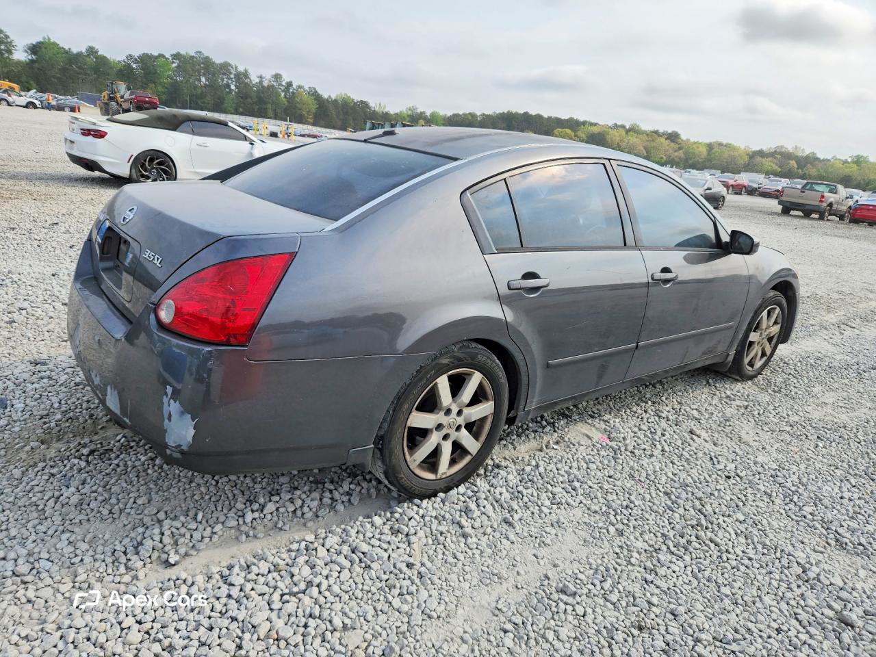 Nissan Maxima 2005