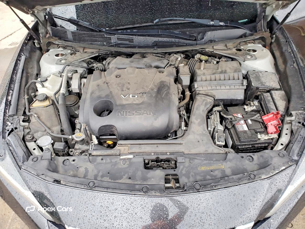 Nissan Maxima 2019