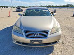 Lexus ES 2011
