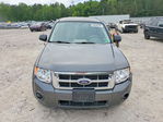 Ford Escape 2010