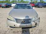 Lexus ES 2010