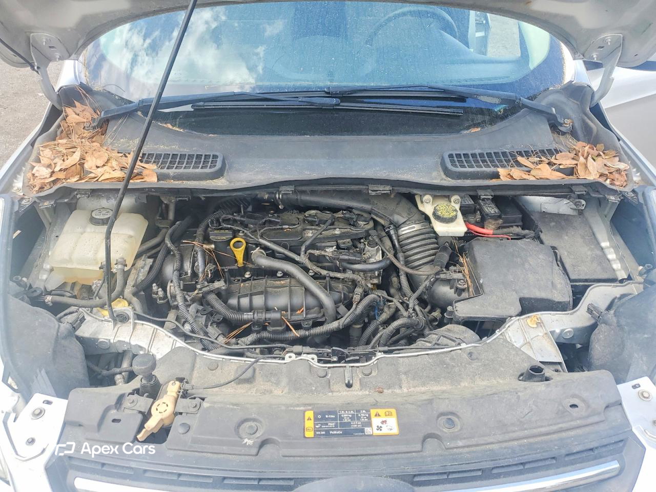Ford Escape 2013