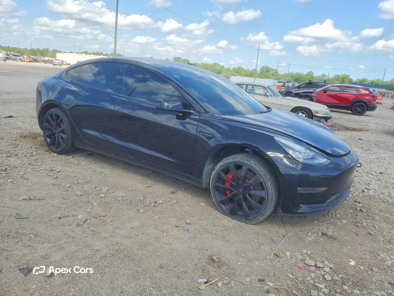 Tesla Model 3 2019