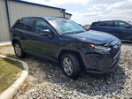 Toyota RAV 4 2025