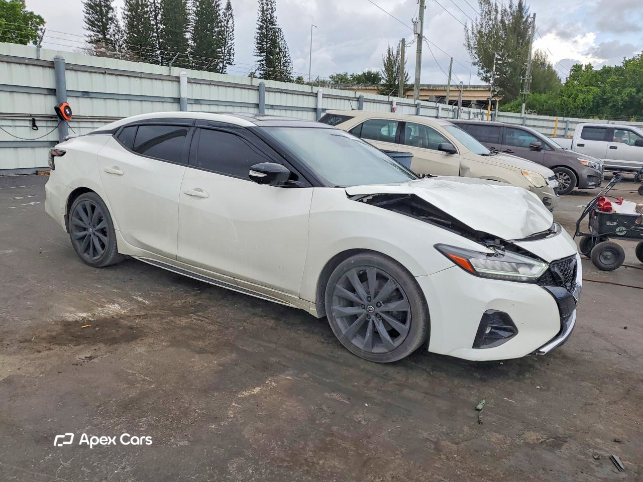 Nissan Maxima 2019