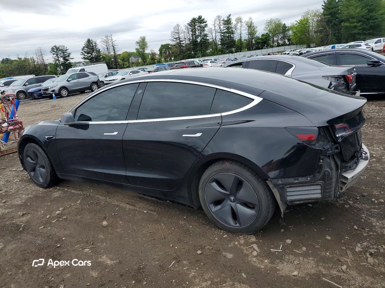 Tesla Model 3 2019