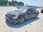 Nissan Maxima 2012