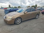 Lexus ES 2007