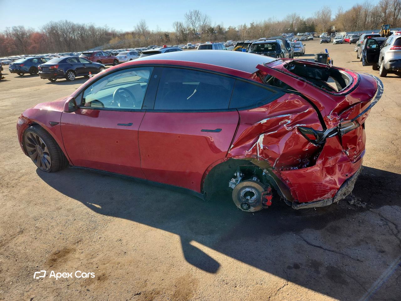 Tesla Model Y 2022