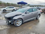 Kia Optima 2014