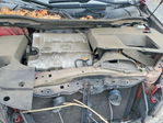 Lexus RX 2010