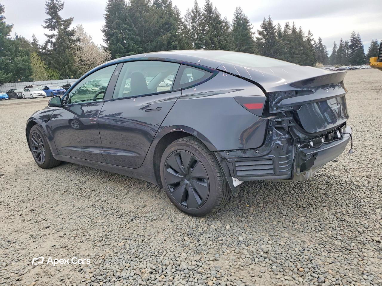 Tesla Model 3 2025