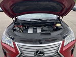 Lexus RX 2017