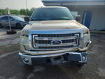 Ford F-150 2014
