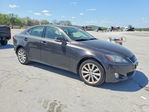Lexus IS 2010