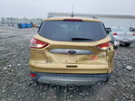 Ford Escape 2014
