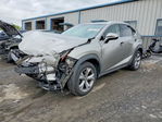 Lexus NX 2017