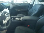 Lexus NX 2025