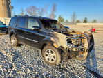 Honda Pilot 2009