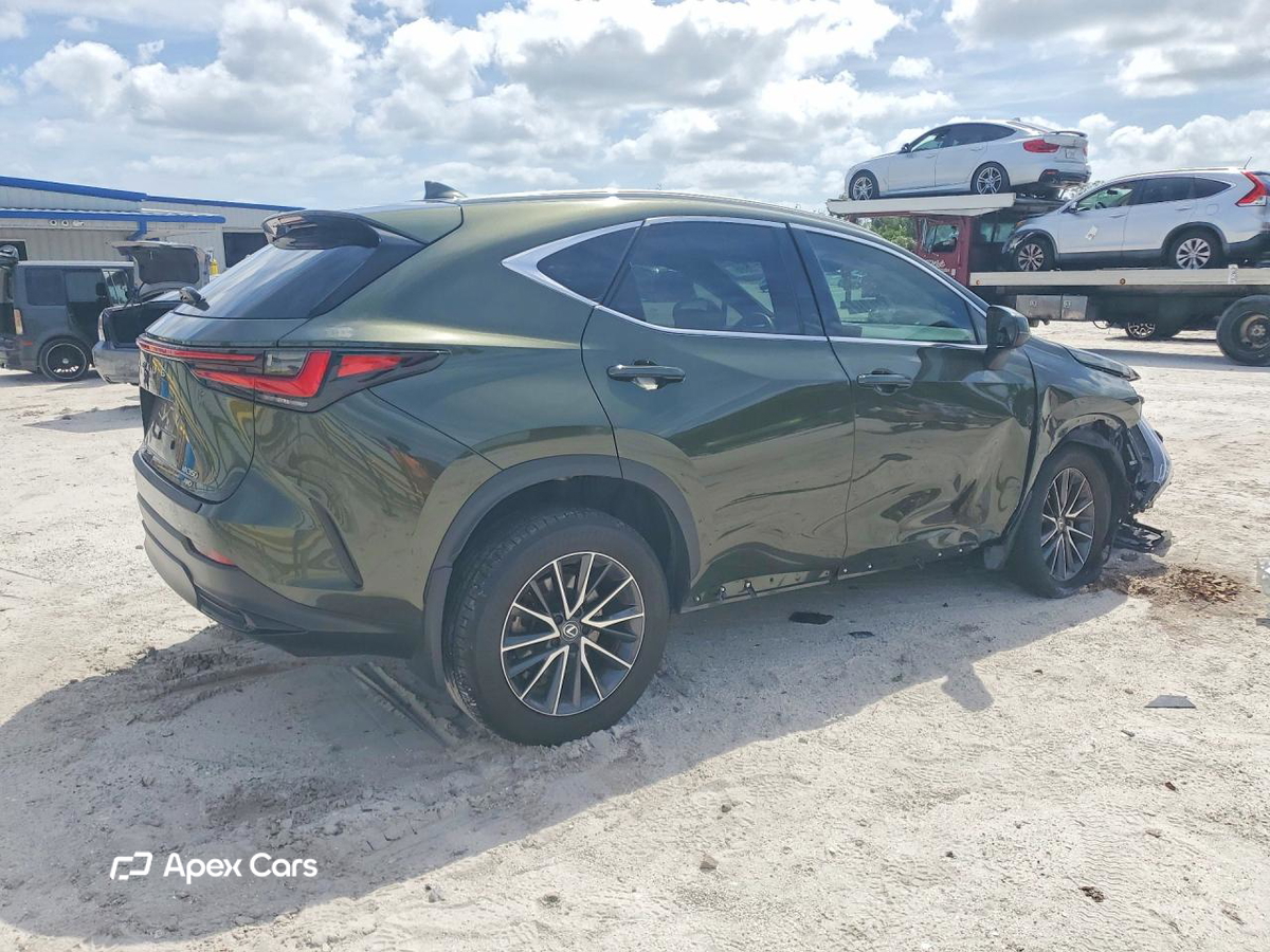 Lexus NX 2024