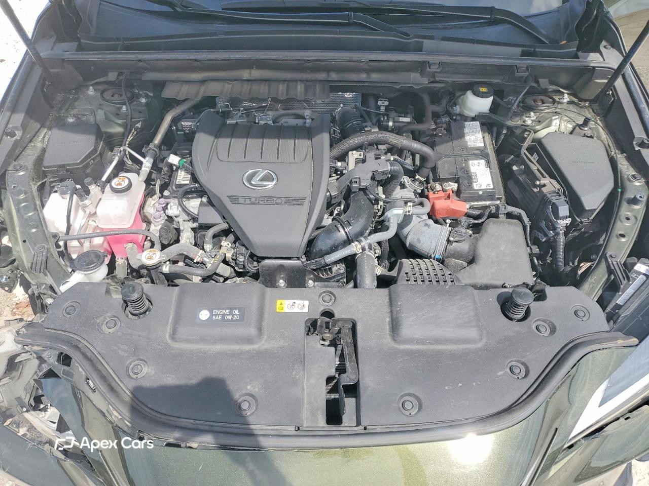 Lexus NX 2024