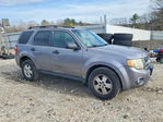 Ford Escape 2008