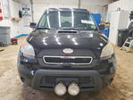 Kia Soul 2011