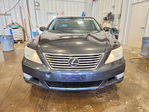 Lexus LS 2010