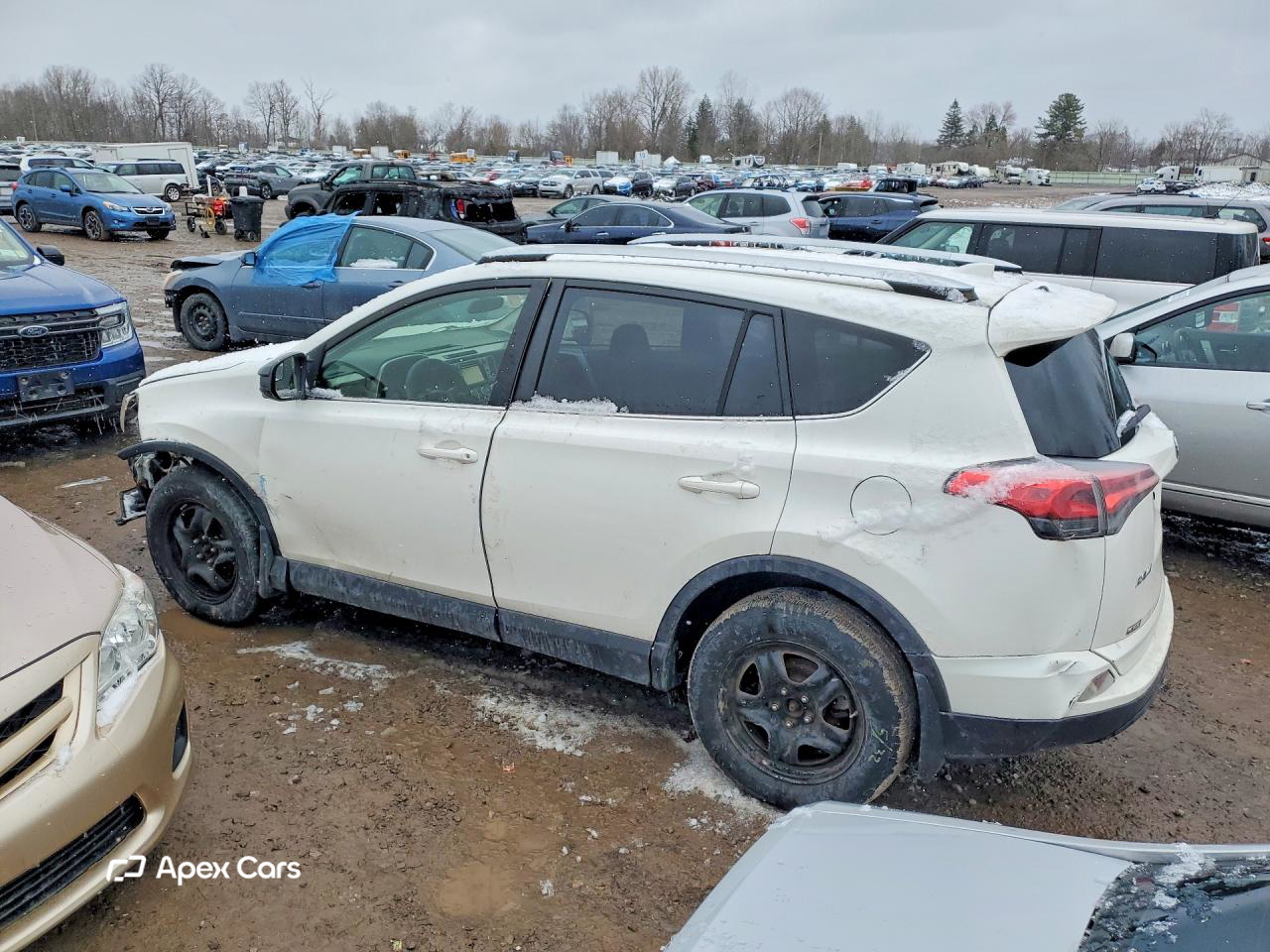 Toyota RAV 4 2016