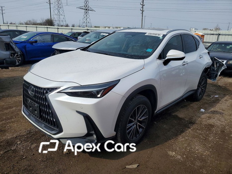 Lexus NX 2025 - Image 1 of 12