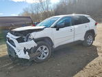 Toyota RAV 4 2024