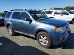 Ford Escape 2012