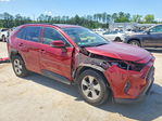 Toyota RAV 4 2020