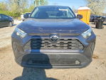 Toyota RAV 4 2024