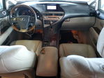 Lexus RX 2010