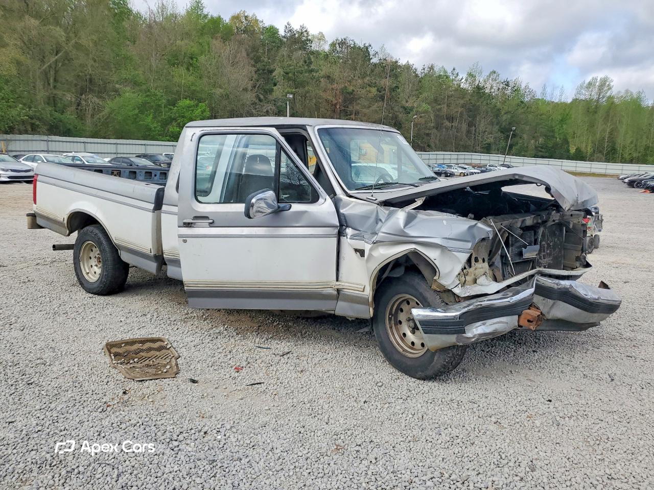 Ford F-150 1994