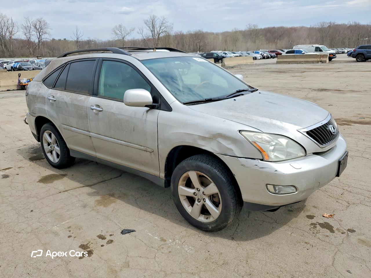 Lexus RX 2008