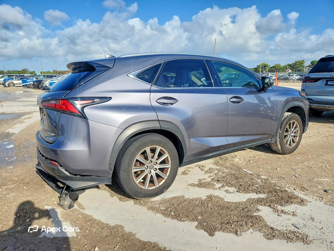 Lexus NX 2020