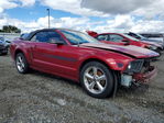 Ford Mustang 2007