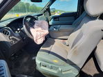 Ford F-150 2013