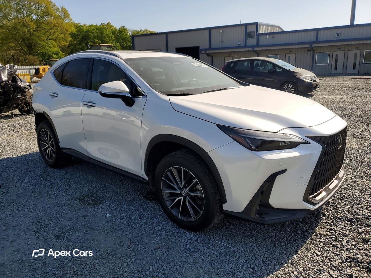 Lexus NX 2025