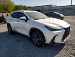 Lexus NX 2025
