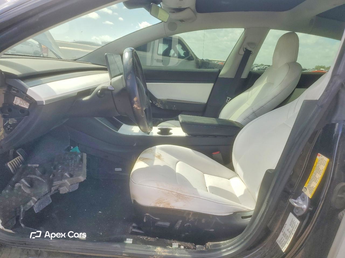 Tesla Model 3 2019
