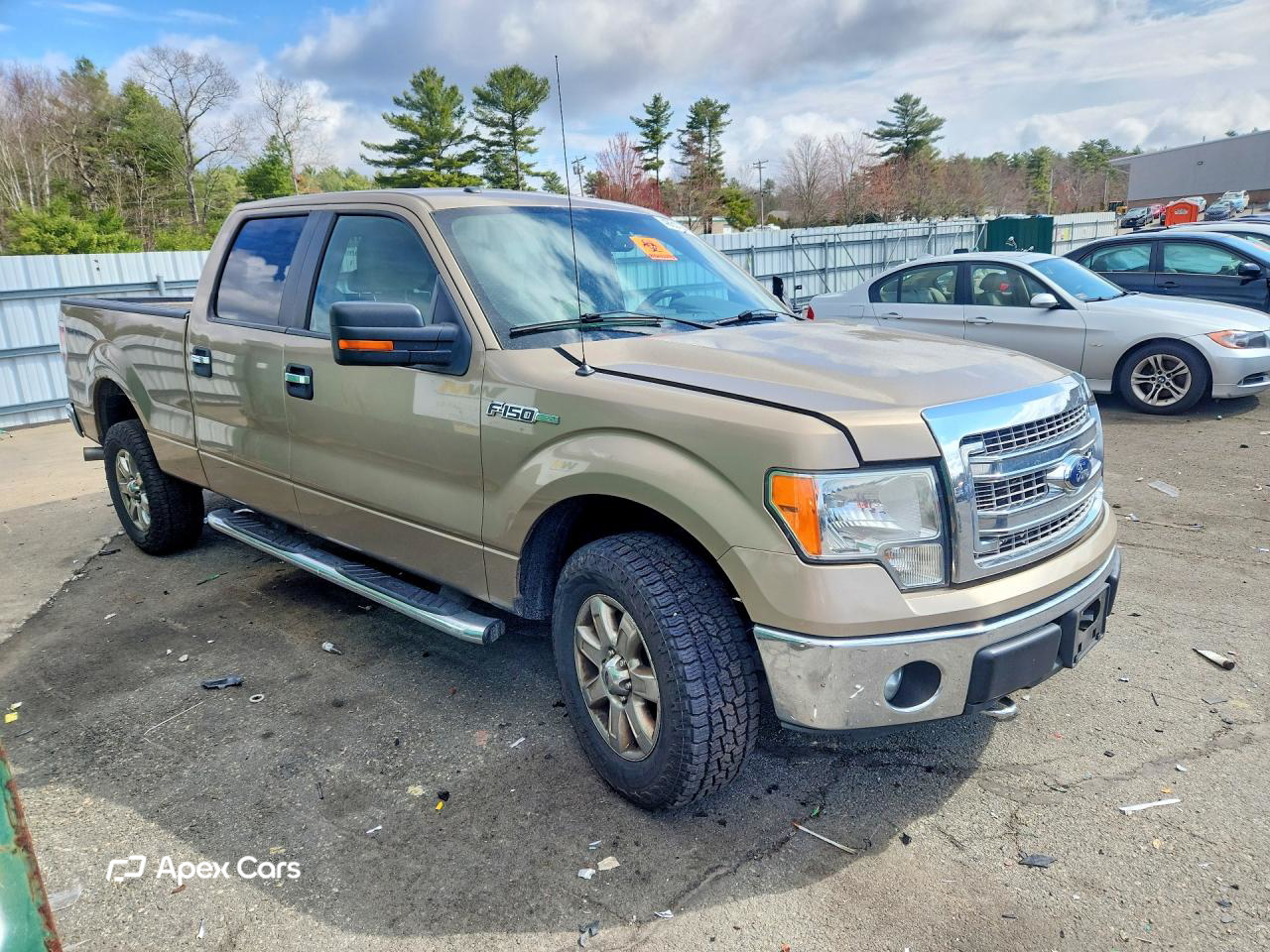 Ford F-150 2013